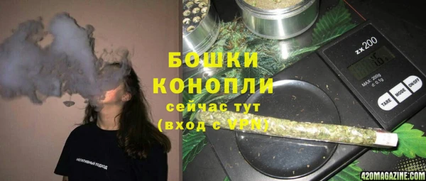 гидра Лиски
