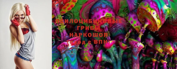 гидра Лиски
