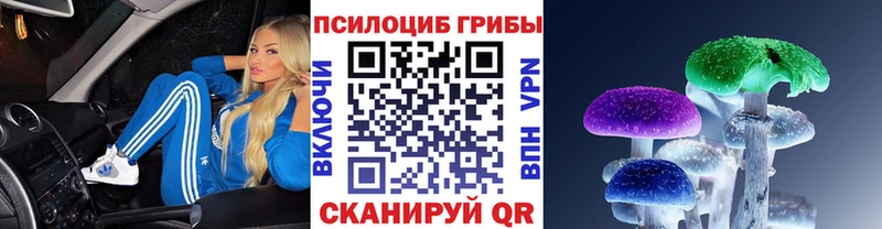 Псилоцибиновые грибы мицелий  цена   Куртамыш 